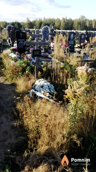 Благодова Елена Демьяновна