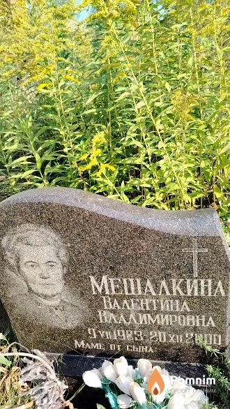 Мешалкина Валентина Владимировна