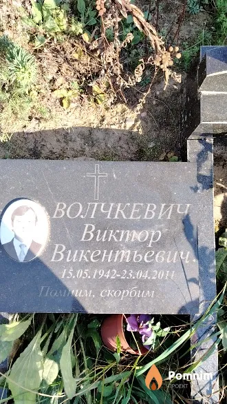 Волчкевич Виктор Викентьевич