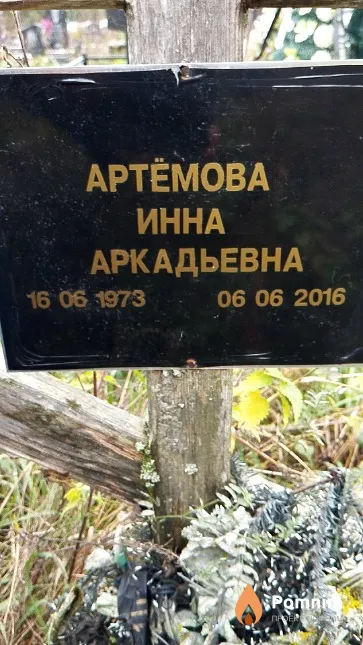 Артёмова Инна Аркадьевна