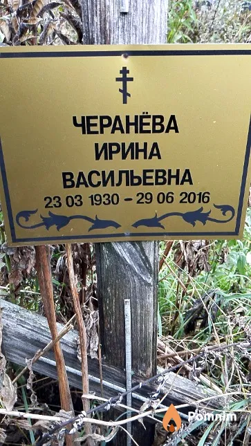 Черанёва Ирина Васильевна