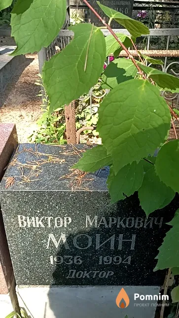 Моин Виктор Маркович