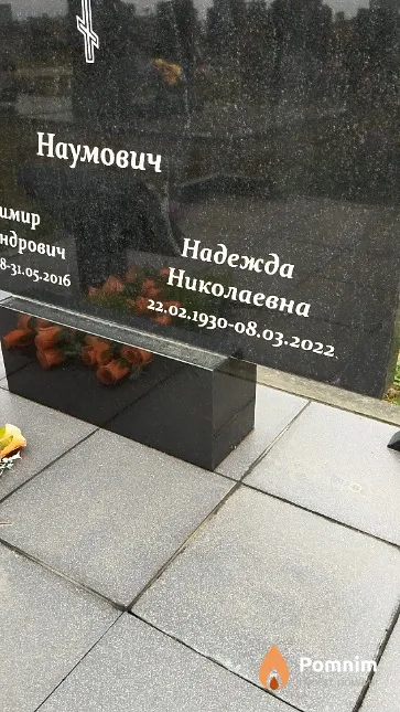 Наумович Надежда Николаевна