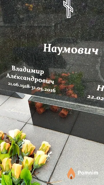 Наумович Владимир Александрович