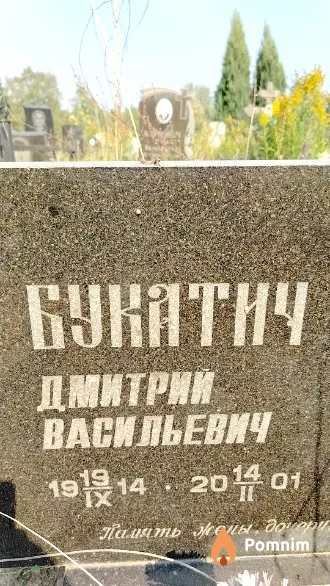 Букатич Дмитрий Васильевич