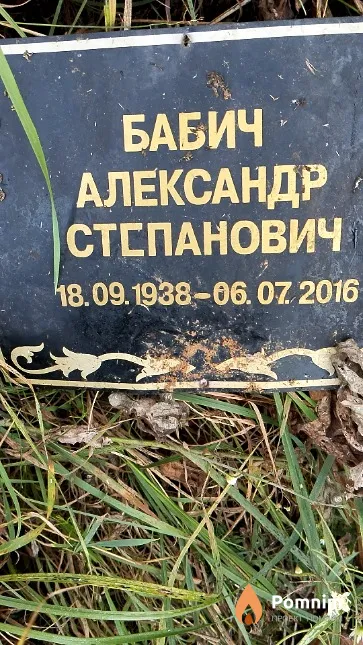 Бабич Александр Степанович