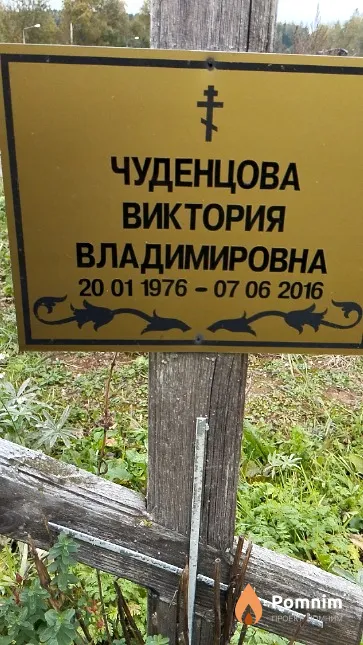 Чуденцова Виктория Владимировна