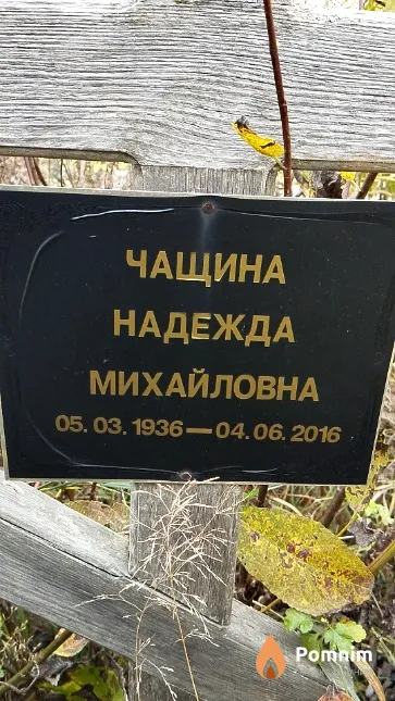 Чащина Надежда Михайловна