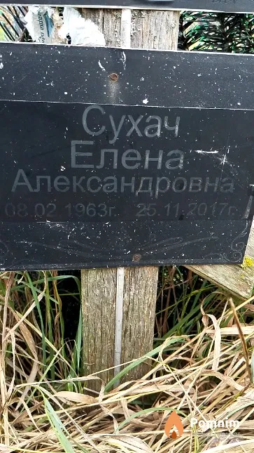 Сухач Елена Александровна