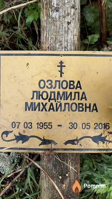 Козлова Людмила Михайловна