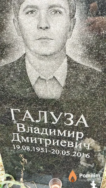Галуза Владимир Дмитриевич