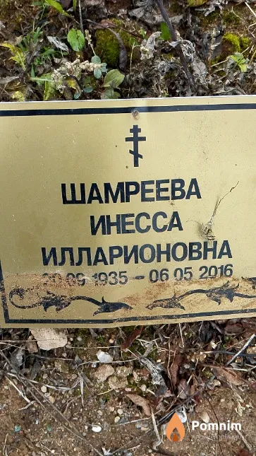 Шамреева Инесса Илларионовна