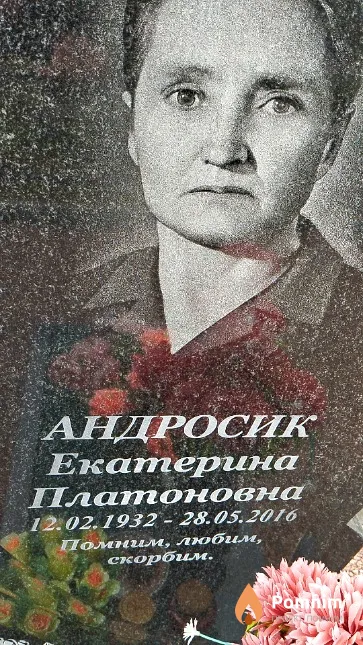 Андросик Екатерина Платоновна