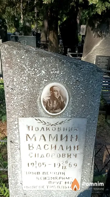 Мамин Василий Сидорович