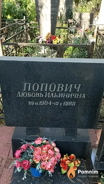 Попович Любовь Ильинична
