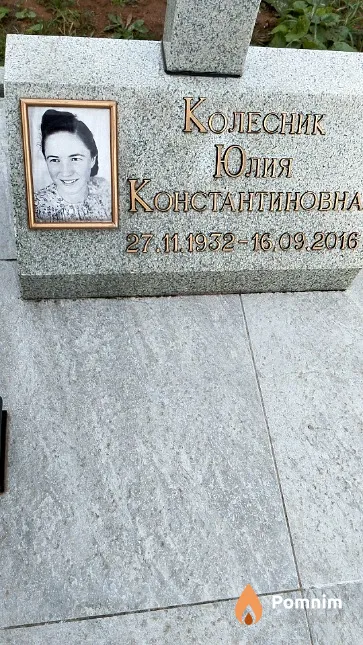 Колесник Юлия Константиновна