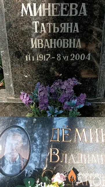 Минеева Татьяна Ивановна