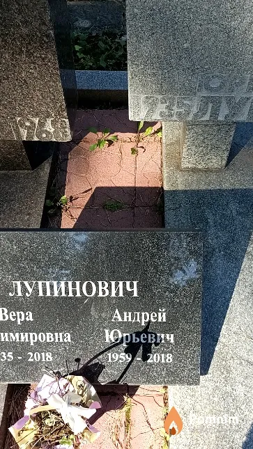 Лупинович Андрей Юрьевич