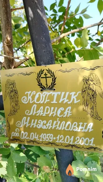 Коптик Лариса Михайловна