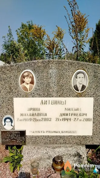 Литвина Ирина Михайловна