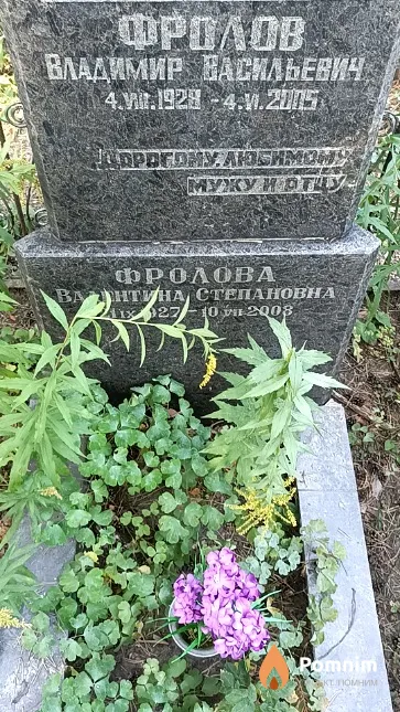 Фролов Владимир Васильевич