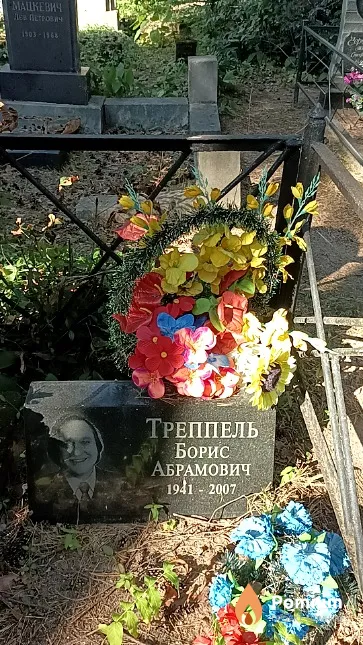 Треппель Борис Абрамович