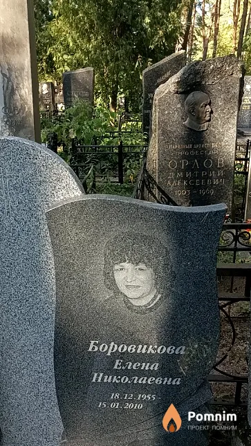Боровикова Елена Николаевна