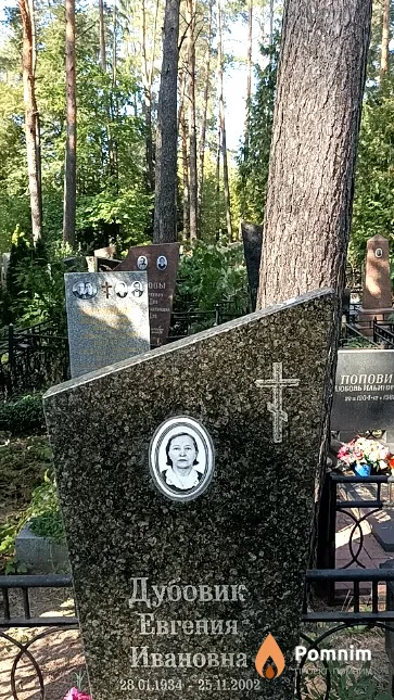 Дубовик Евгения Ивановна