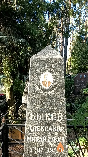 Быков Александр Михайлович