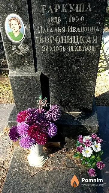 Вороницкая Наталья Ивановна