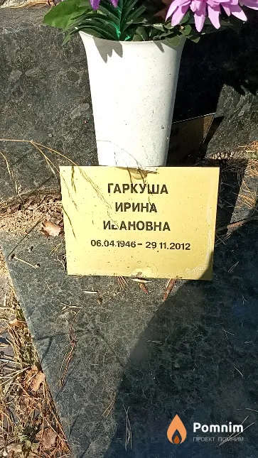 Гаркуша Ирина Ивановна