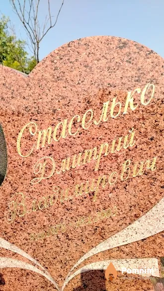 Стаселько Дмитрий Владимирович