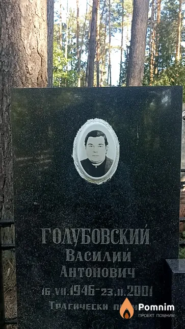 Голубовский Василий Антонович