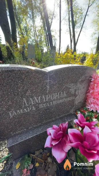 Дамаронак Тамарв Владимировна