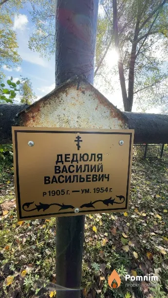 Дедюля Василий Васильевич
