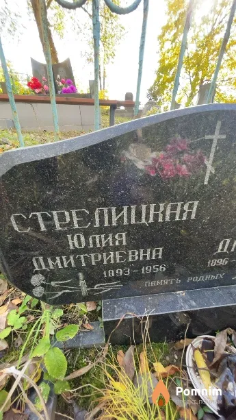 Стрелицкая Юлия Дмитриевна