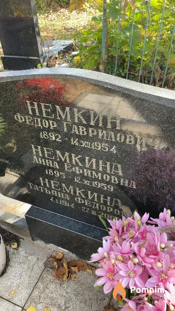Немкин Федор Гаврилович