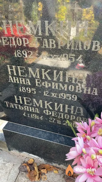 Немкина Анна Ефимовна