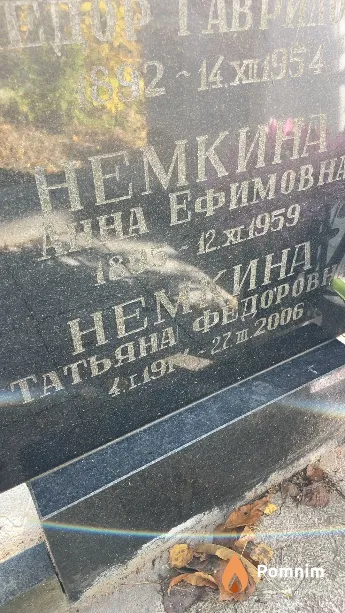 Немкина Татьяна Фёдоровна