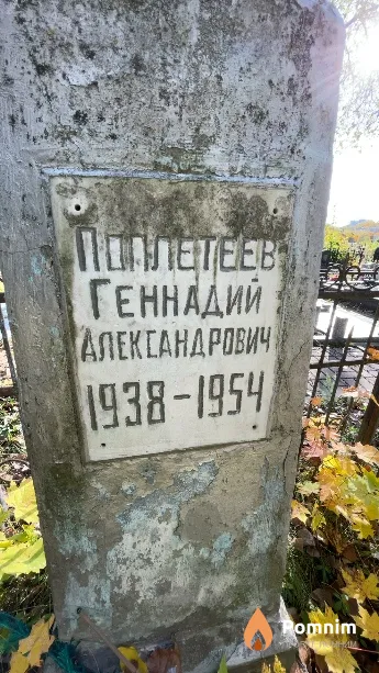 Поплетеев Геннадий Александрович
