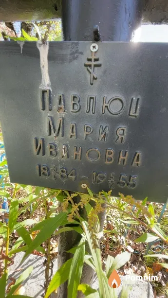 Павлюц Мария Ивановна