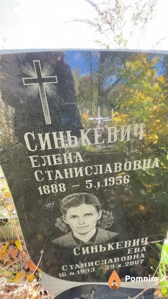Синькевич Елена Станиславовна