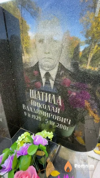 Шатила Николай Владимирович