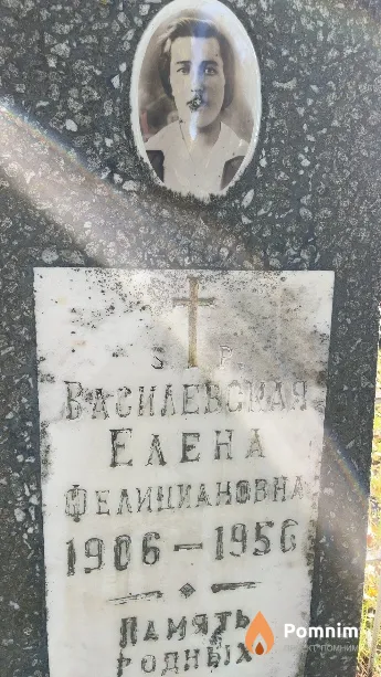 Висилевская Елена Фелициановна