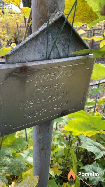 Ромейко Нинел Иванович