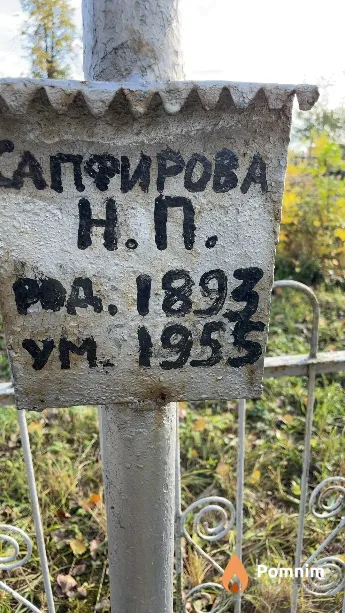Сапфирова Н П
