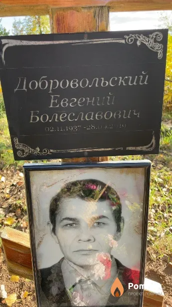 Добровольский Евгений Болеславович