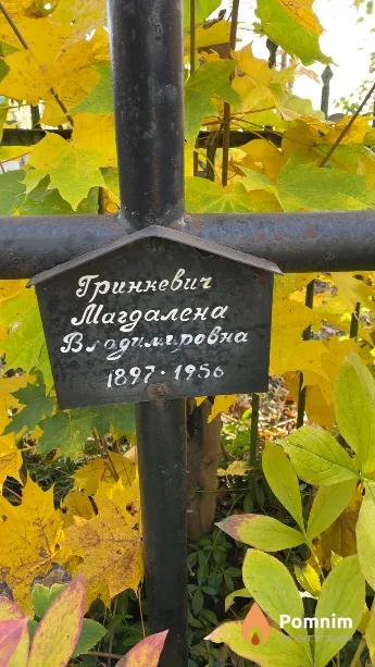 Гринкевич Магдалена Владимировна