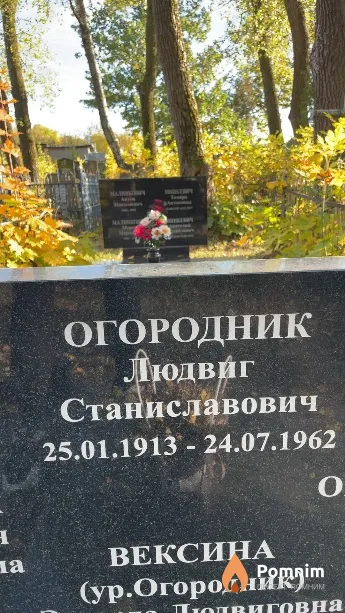 Огородник Людвиг Станиславович