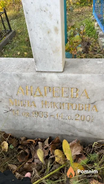 Андреева Мила Никитовна